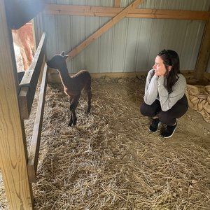 Meet your Posher, Susie